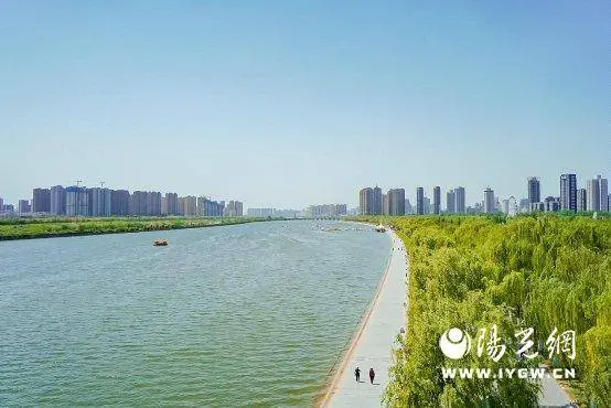多元组别